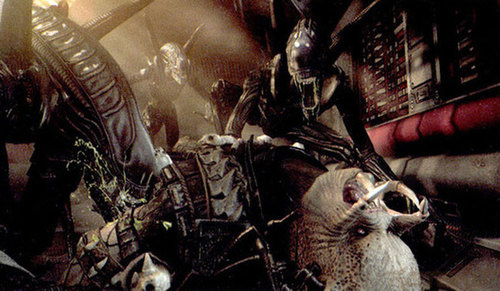 Aliens vs Predator