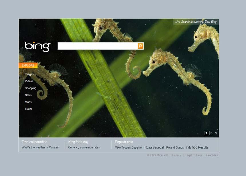 Bing Bing