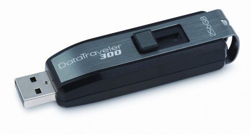 Kingston DataTraveler 300 256GB