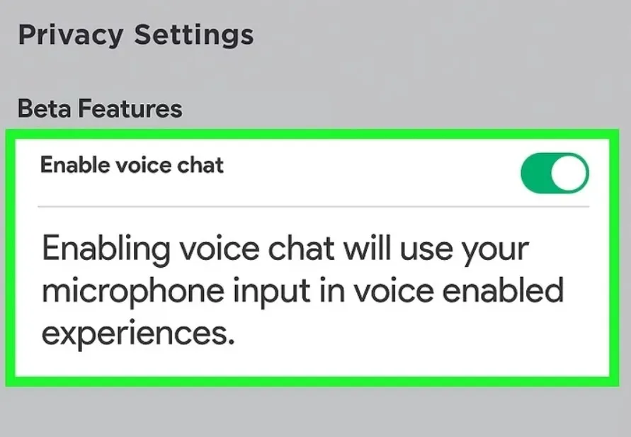 How to get voice on Roblox