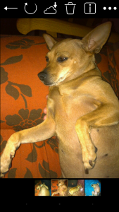 Screenshot_2015-05-21-20-49-47