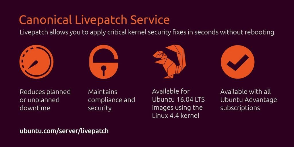 servicio Canonical Livepatch