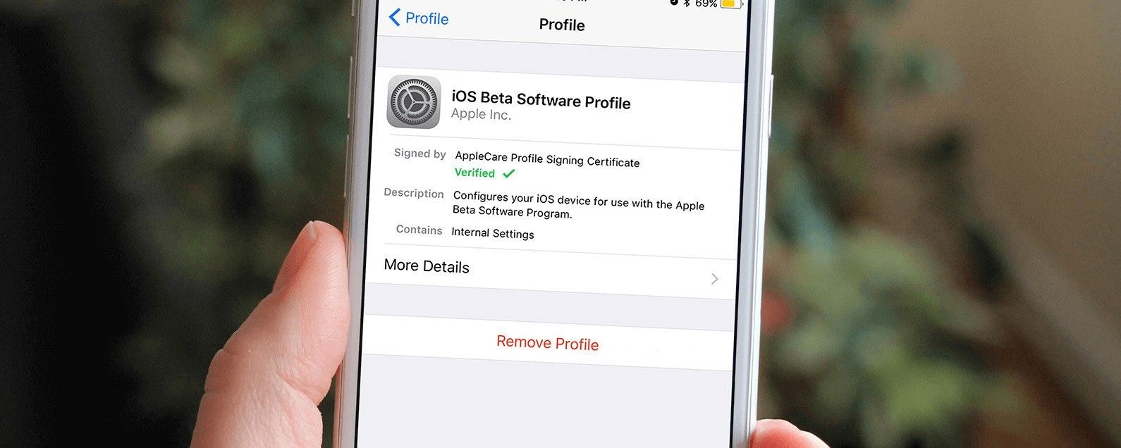 eliminar perfil beta iOS 1