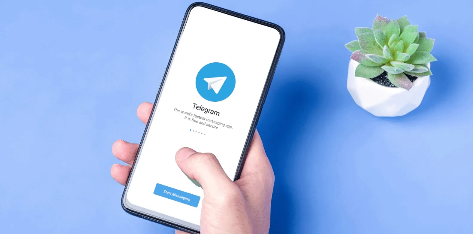 Telegram subastará usuarios