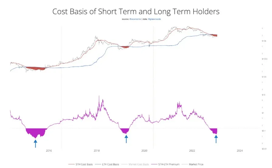 comparación de la base de costos a corto y largo plazo Bitcoin
