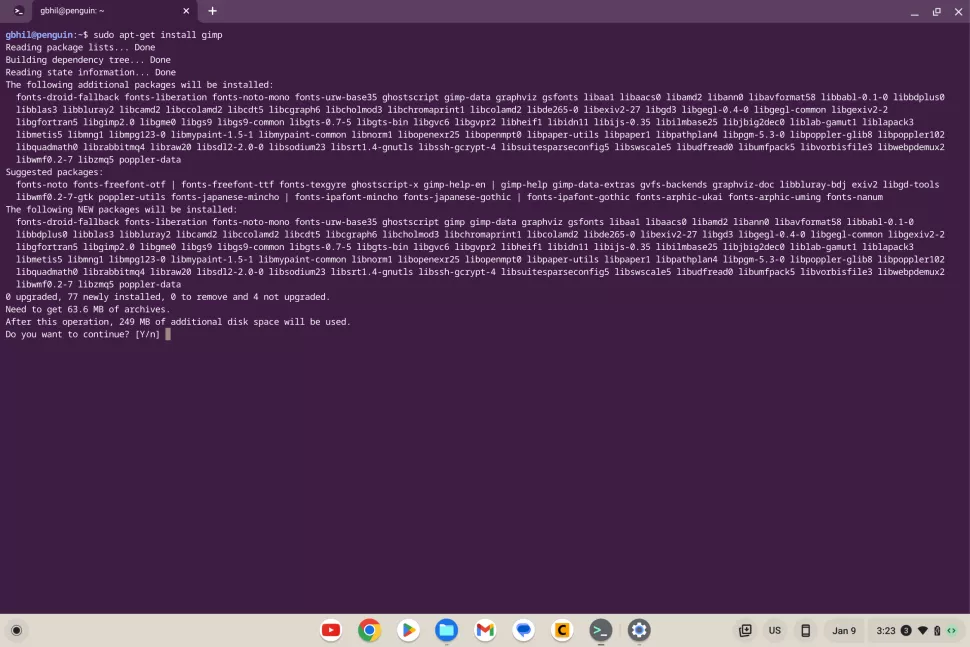 instalar apps Linux Chromebook 4