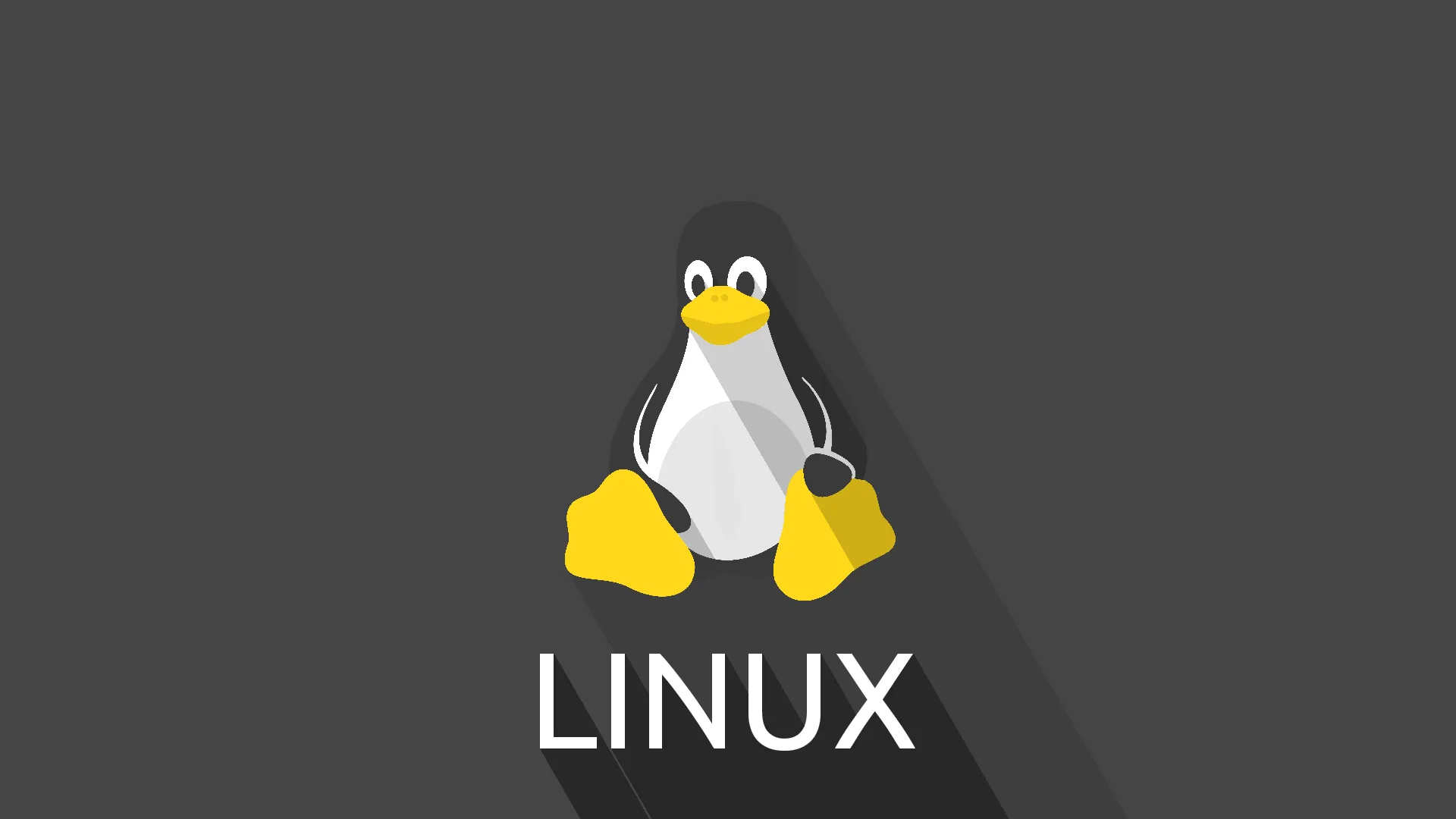 Guía para eliminar o borrar archivos en Linux