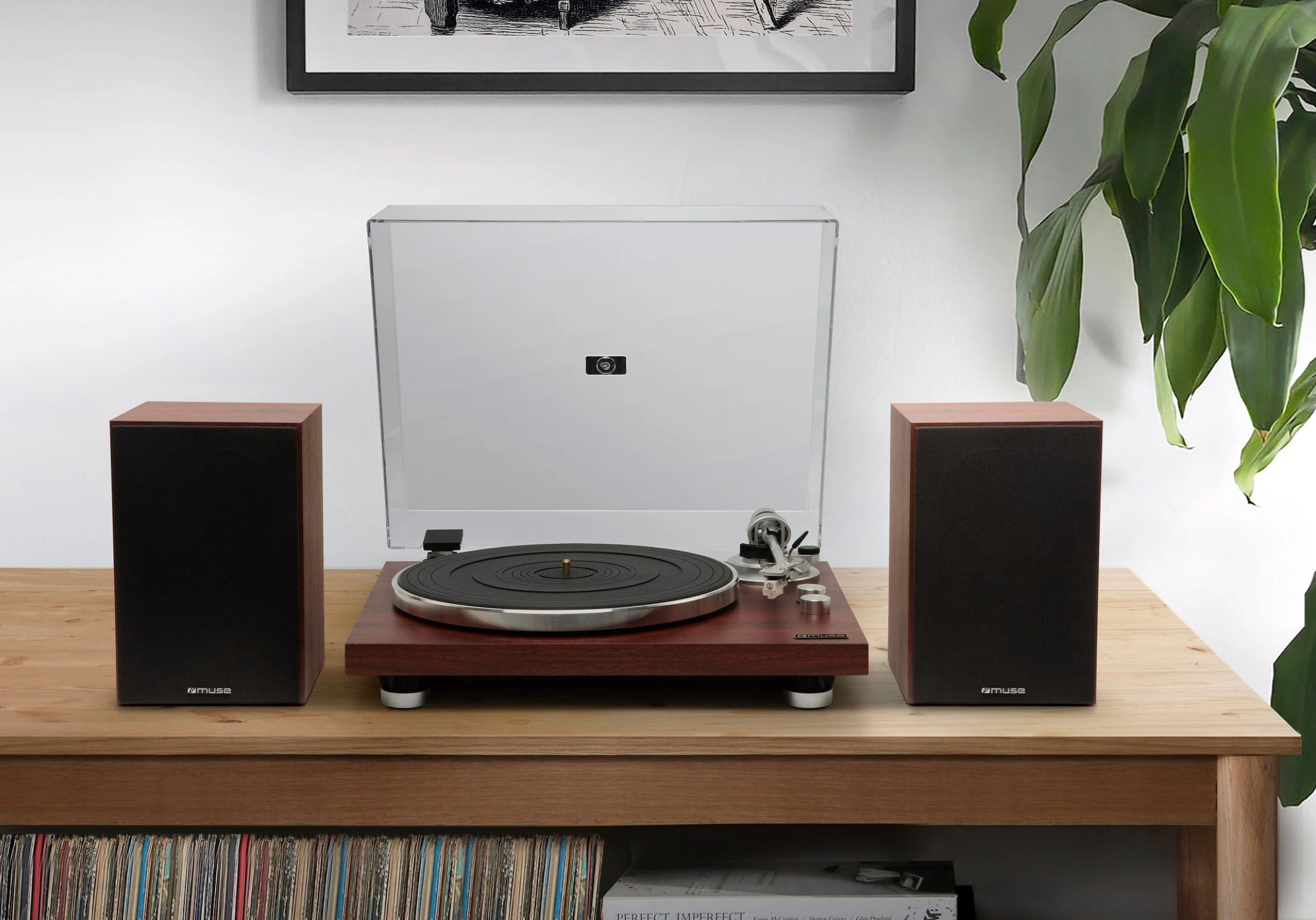 muse giradiscos y altavoces